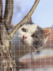 1PC Transparent Nylon Pet Safety Net Balcony Cat Fence Window Protection Mesh Anti Fall Climbing Guard For Stairs Patio Outdoor Dog Cat Enclosure With Fixing Kit - Multicolor - View 2