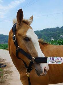 1pc Soft Skin-Friendly & Wear-Resistant Webbing Horse Bridle – Gentle Non-Harm Equestrian Bridle For Horse Comfort, Horse Stable Equipment With Walking Leash, Lightweight All-Purpose Webbing Bridle For Trail, Training & Daily Use - Multicolor - View 1
