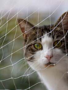 1PC Transparent Nylon Pet Safety Net Balcony Cat Fence Window Protection Mesh Anti Fall Climbing Guard For Stairs Patio Outdoor Dog Cat Enclosure With Fixing Kit - Multicolor - View 3