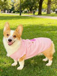 PETSIN 1件ins风天鹅绒刺绣宠物背心，适合泰迪比熊贵宾犬的温暖春季服装 - 彩色 - 查看 10