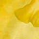 Pale Yellow
