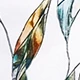 Multicolor