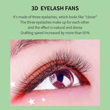 1PC Glamlash 12Rows C/D/L/LU/M W Shape Eyelash Extension 0.07mm 3D Premade Volume Fan Lashes W Style Lashes Faux Mink Volume Lashes Natural Eyelash Lash Clusters, Eyelash Clusters, Individual Eyelashes, Lashes, Fake Lashes - Black - View 4