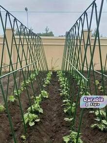 21pcs Durable Garden Stake Set (8 Stakes + 3 A-Type Clips + 5 Connectors + 5 Universal Fasteners) With Coated Metal Inner Cores. Corrosion-Resistant And Easy To Assemble Via Plug-In Connection, Ideal For All Kinds Of Fruits And Vegetables. - Plant Support - View 2
