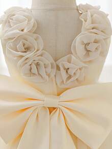 SHEIN Glamorique Kids 女嬰白色緞面網紗高階正式禮服，附3D花朵、大蝴蝶結背部、蓬蓬裙，適合婚禮、生日派對花童，夏季優雅款 - 杏色 - 查看 6
