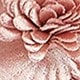 Coral Pink
