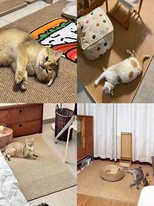 1件貓抓墊，類劍麻貓抓墊附黏貼式尼龍魔鬼氈，橫式貓咪地板抓墊地毯，保護沙發與地毯，玄關門墊，薄款室內防滑可水洗玄關地毯 - 彩色 - 查看 8