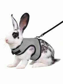 1 pieza Arnés multicolor para conejo con correa, correa ajustable para el pecho de conejo, conjunto de collar y correa linda para mascotas para animales pequeños como conejo, hurón, lagarto, cobaya, hámster - Multicolor - Ver 5