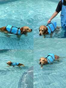 狗狗反光可调节夏季大型犬泳衣背心冲浪帆船增强浮力宠物救生衣反光狗狗救生衣，确保水上和海洋玩耍安全 - 彩色 - 查看 2