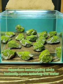 1/3/5/9/13件組天然石水族裝飾 水生苔蘚植物迷你雕塑，適用於水景造景、生態缸、森林岩石景觀、DIY盆景與禪意花園裝飾 - 默認 - 查看 4