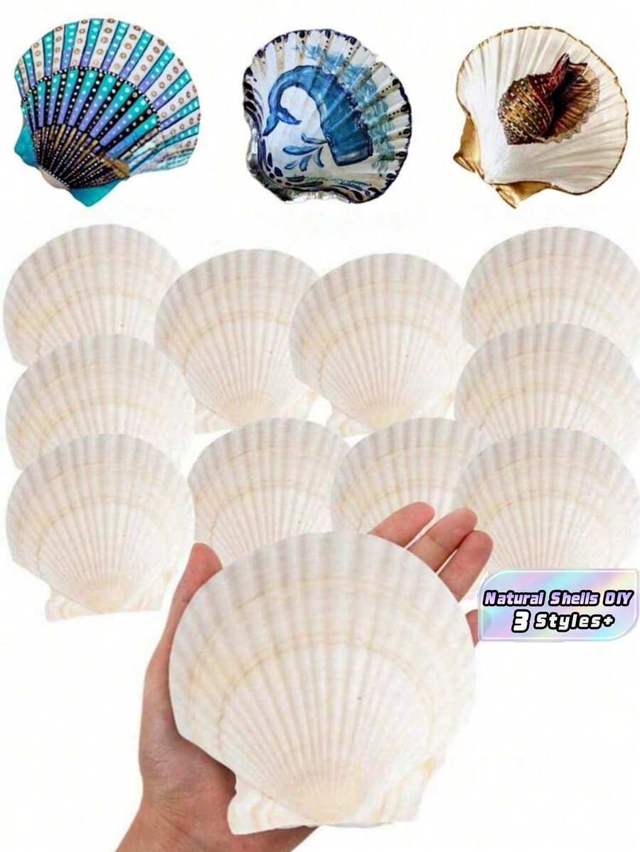 5/10/20PCS Natural Large Shells Set Ocean Sea Shell Craft DIY Painting Jewelry Making Home Decor Photo Prop Wedding Decoration Gift Beach Summer Nautical Coastal Theme Art Supplies Home Ornamental Accessories - shell - View 1