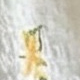 彩色