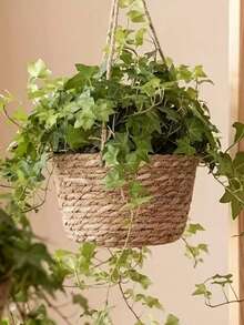 1PC Jute Rope Hanging Plant Basket Indoor Outdoor Macrame Plant Holder Wall Mount Flower Pot Stand Garden Decor Hanger Natural Boho Planter Shelf Storage - flat bottom - View 11