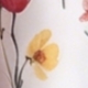 Hồng