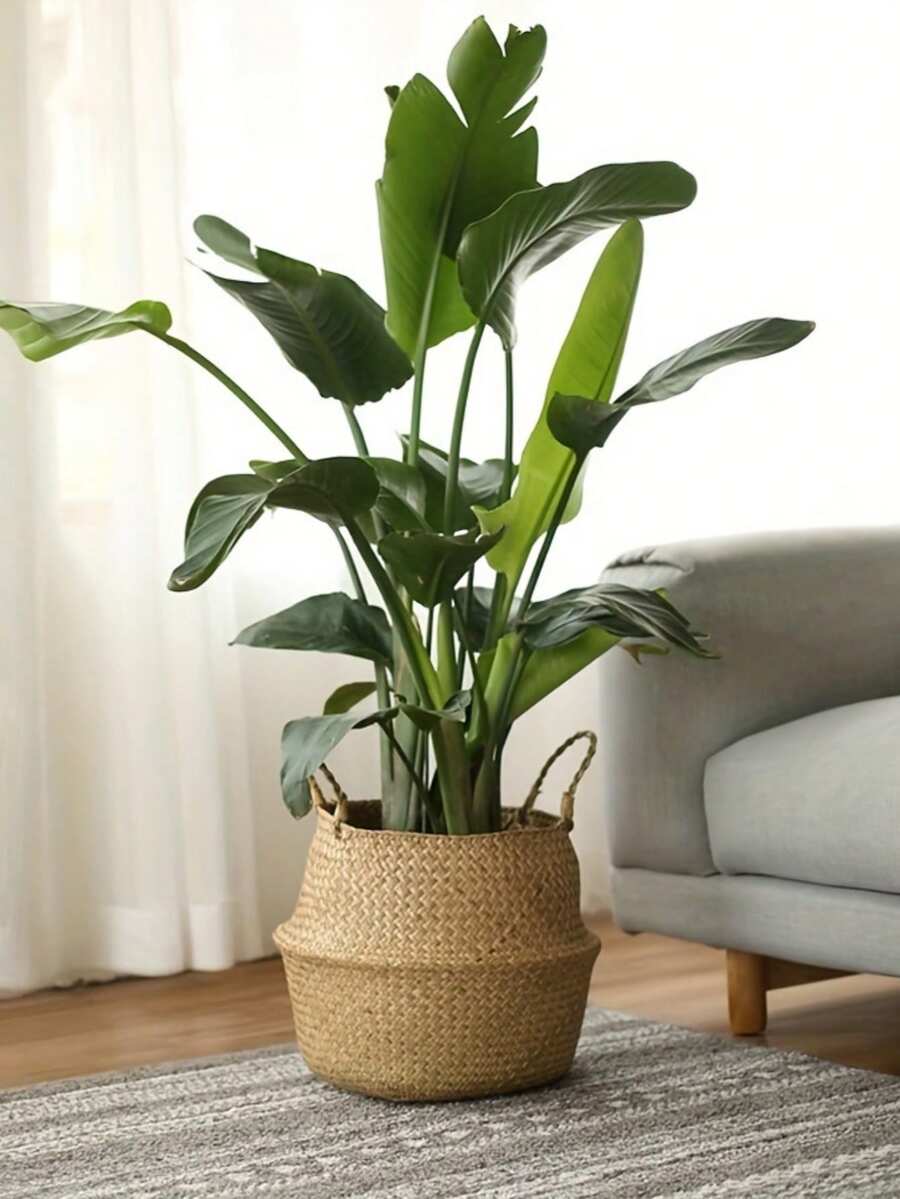 1PC Seagrass Wicker Rattan Hanging Planter Storage Basket Flower Pot Cover Woven Straw Storage Bin For Farmhouse Garden Home Decor Living Room Bedroom Organization Shelving Tabletop Accessory