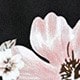 彩色