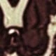 Albaricoque