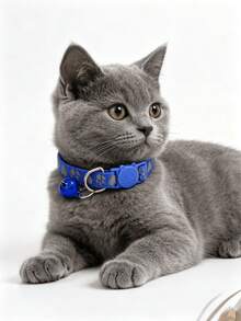 1件宽松款靛蓝色猫项圈，快拆安全扣设计，可调节小猫项圈，带铃铛装饰的可调节猫项圈，宠物颈圈，狗项圈，适合时尚宠物猫狗佩戴 - 靛藍 - 查看 9