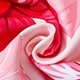 彩色