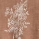 màu nâu