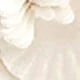 Beige 1