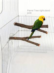 1pc Handmade Wooden Durable Bird Perch Stand, Comfortable Bird Chewing Stick, Fun Bird Toy & Accessories, Natural Wood Variations (Weight & Shape Slightly Differ) - Brown - View 7