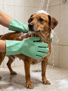 Pet Bathing Glove, Silicone Massage Brush For Dogs And Cats, Pet Bath Scrubber Supplies - Green - View 6