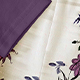 彩色