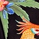 Nhiều màu