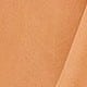 Coral Orange