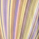 Multicolor