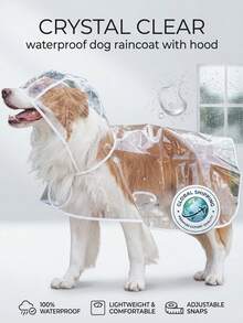 PETSIN 透明防水狗狗雨衣 - 全身EVA材质，带帽设计，适合小型至中型犬（建议选择大一号）。柔软外层，非常适合博美犬/比熊犬等小型犬雨天散步，全天候防水，是完美的圣诞礼物。 - 透明白邊 - 查看 4