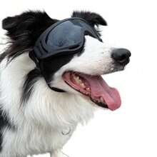 Goggles Specifically For Medium And Large Dogs, Sunscreen, Windproof, Waterproof, Dustproof, Drop-Resistant, Anti-Fog, Equipped With Adjustable Straps, Suitable For Driving, Motorcycling, Swimming, Surfing, And Other Occasions - Multicolor - View 6