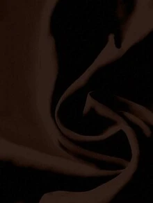Rusticease 女款貝殼刺繡時尚單排扣襯衫休閒簡約適合夏季 - 棕色 - 查看 5