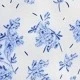 Blue and White
