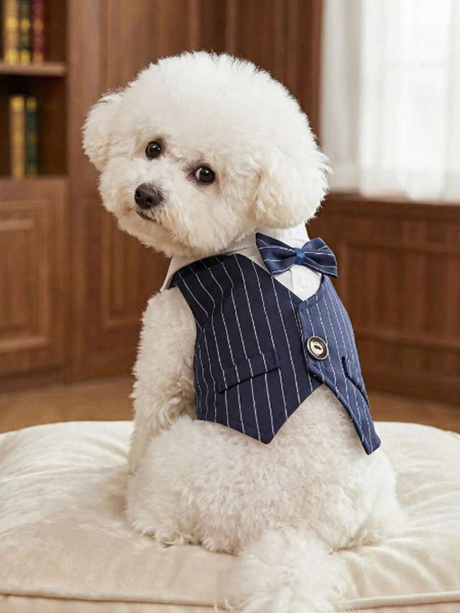 PETSIN ملابس قطة وكلب رفيعة، طقم قمصان للربيع والصيف، فساتين زفاف، فساتين حيوانات أليفة - متعدد الألوان - مشاهدة 1
