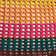 Multicolor