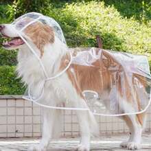 PETSIN 透明防水狗狗雨衣 - 全身EVA材质，带帽设计，适合小型至中型犬（建议选择大一号）。柔软外层，非常适合博美犬/比熊犬等小型犬雨天散步，全天候防水，是完美的圣诞礼物。 - 透明白邊 - 查看 15