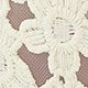 Apricot 1