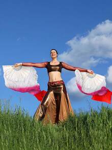 2Pcs Belly Dance Fans, Silk Tassel Bamboo Fans, Colorful Dance Props For Stage Performance & Mother's Day Gifts - Multicolor - View 9