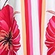 粉色