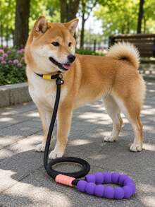 Pet Leash, Slip Lead, Anti-Slip Handle, Outdoor Leash, Nylon Rope.,Fashionable And Aesthetically , Perfect For Running, Training, Jogging, And Outdoor Dog Walking. The Leash Features A Soft, Comfortable Handle. - Multicolor - View 2