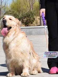 Pet Leash, Slip Lead, Anti-Slip Handle, Outdoor Leash, Nylon Rope.,Fashionable And Aesthetically , Perfect For Running, Training, Jogging, And Outdoor Dog Walking. The Leash Features A Soft, Comfortable Handle. - Multicolor - View 1