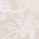 Osmanthus - White