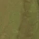 màu xanh lá
