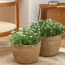 編織花盆，北歐風藤編花籃，適用於客廳、陽台裝飾，盆栽植物家居裝飾花瓶，房間裝飾玻璃花瓶 - 咖啡棕 - 查看 4