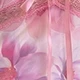 彩色