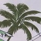 彩色