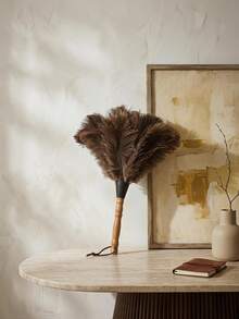 Cirelle 1pc Natural Feather Duster With Wooden Handle, Gentle Cleaning Brush For Home, Furniture & Decor, Lint-Free Dust Remover For Shelves, Books, Jewelry & Ornaments, Elegant Cleaning Tool For Bedroom & Living Room, Ideal Gift For Home Enthusiasts. - White Pole #1 - View 5
