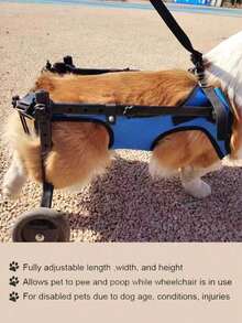 1PC Adjustable Lightweight Durable Pet Dog Wheelchair Mobility Aid With Rear Leg Support For Small Dogs Injury Recovery Indoor Outdoor All Season Rehabilitation Assistant Walking Aid - Multicolor - View 6